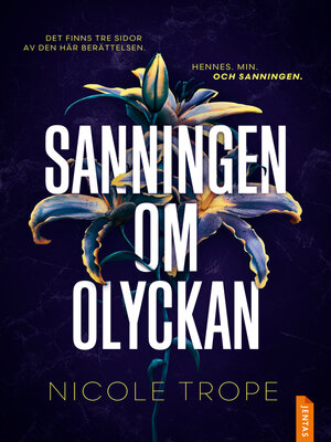 cover image of Sanningen om olyckan